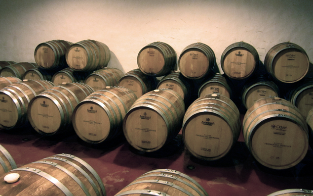 Foto: Bodega Fernando Dupont Maimará