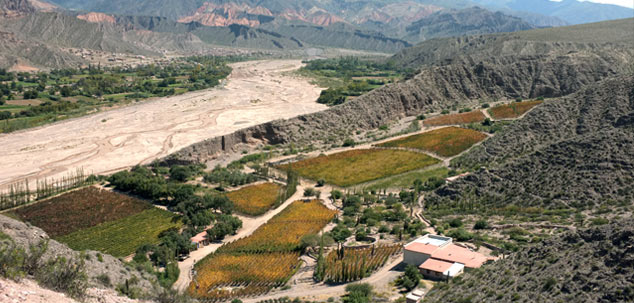 Foto: Bodega Fernando Dupont Maimará
