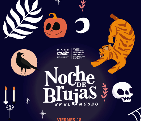 Noche de Brujas en el Museo de Ciencias Naturales