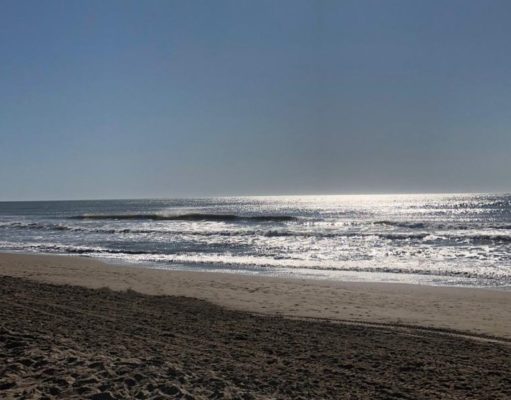 Una mañana perfecta en Las Gaviotas