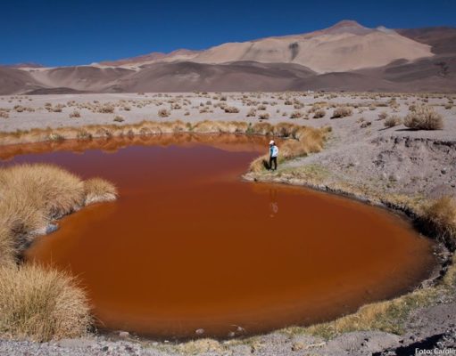 La Laguna Colorada, una postal de otro planeta