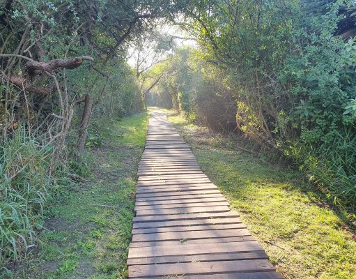 Reservas urbanas: encontrá lo verde cerca de las ciudades
