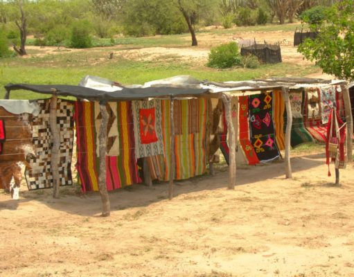 Tejidos en el monte santiagueño