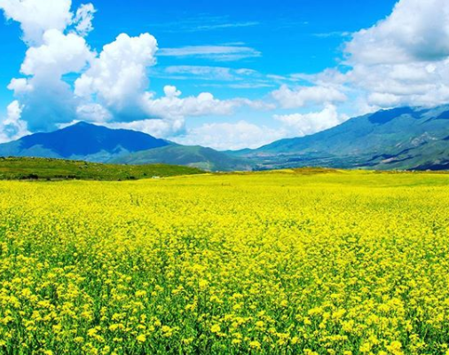 Tiempos de primavera