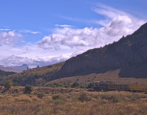 Tren Patagónico, una sucesión de paisajes