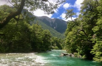 Los Alerces: cuna de un tesoro único en el mundo