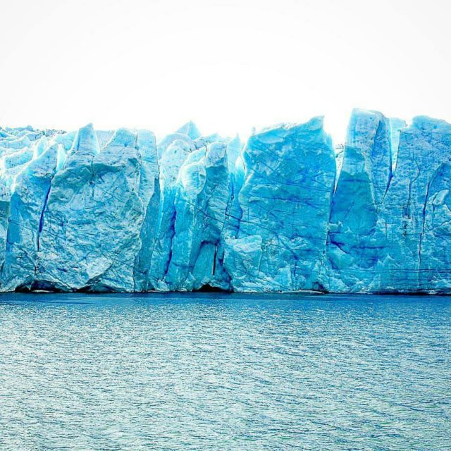 Calafate dos