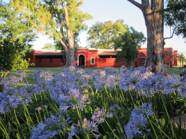 La Bamba de Areco portada