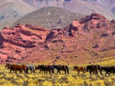 La Rioja, maravilla en cinco postales