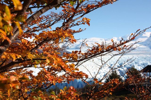 El Calafate
