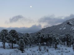 ¿Te animás a una caminata nocturna en la nieve?