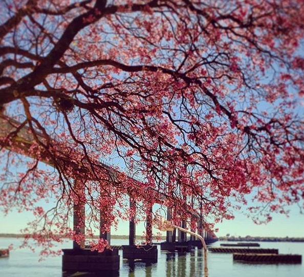 corrientes