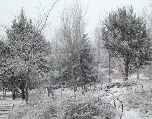 Postales de la nieve cordobesa