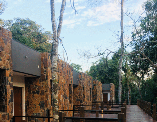 Nuevo hotel en la selva