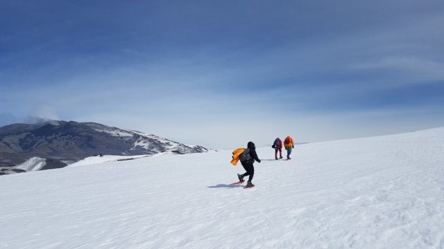 nieve