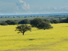 Enigmático ¿En qué provincia argentina estamos?