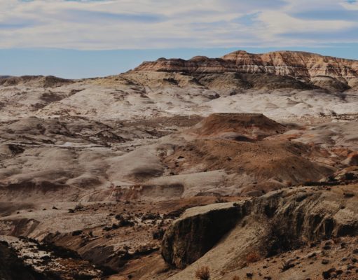 En el Día de los Bosques, visitamos este que es muy particular