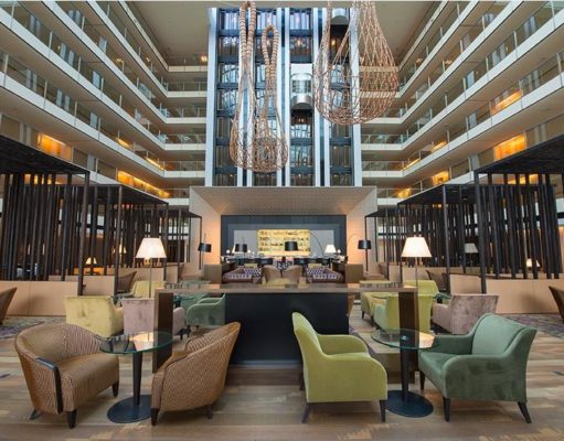 ¿Sabés qué es «El Efecto Hilton»?