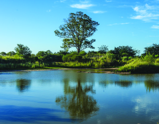 Santa Fe: ocho paradas hermosas sobre la Ruta 11