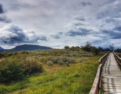 Ushuaia en enero. Postales de una tierra sin igual