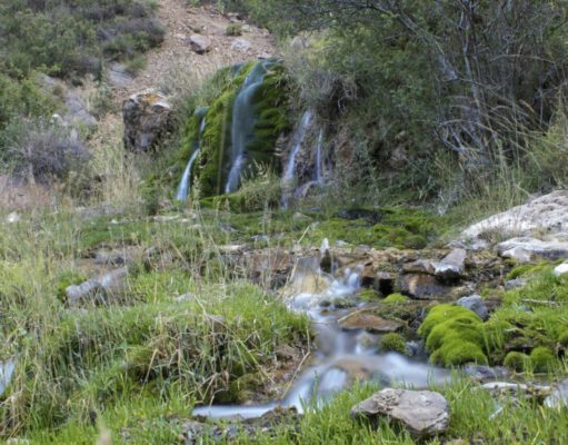 Reserva Villavicencio, un paraíso con agua de manantial