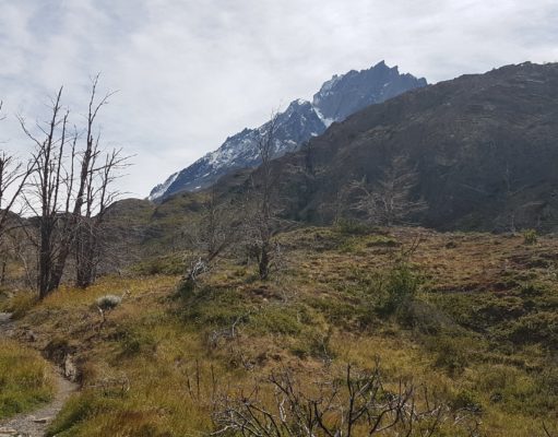 Postales desde el Chile más austral