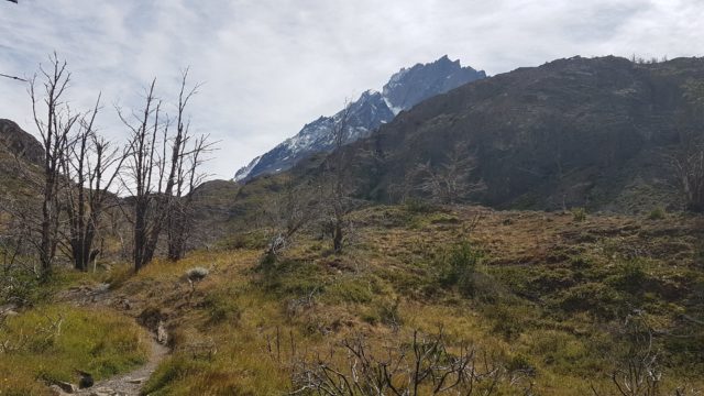 Torres del paine