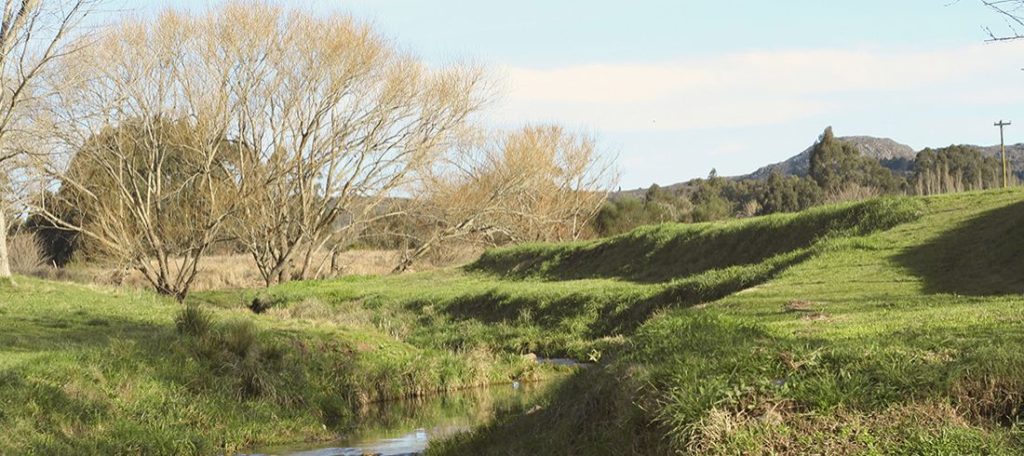 Foto: Vivo Tandil