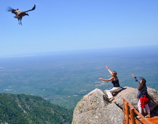 Quebrada de los cóndores: tips para un encuentro inolvidable