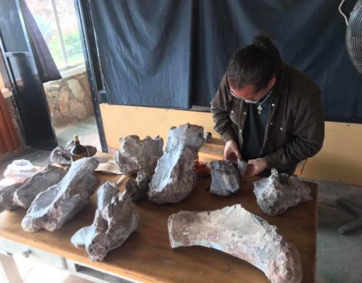 Paleontólogos por un día: algo único en Sudamérica