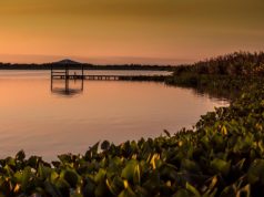 Cinco habitantes del Pilcomayo que te van a enamorar
