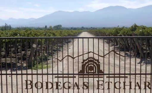 Un bodega sustentable en Cafayate