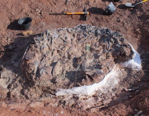 San Juan: Un raro cementerio de dinosaurios y eclipse de sol