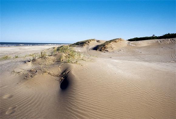 arena en punta rasa