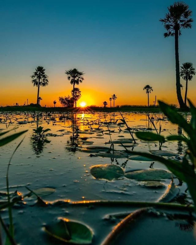 iberá