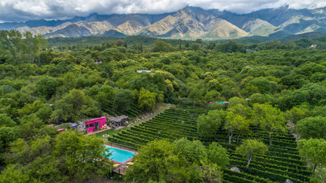 hotel y bodega