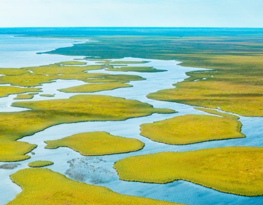 Día Mundial del Medio Ambiente: 8 destinos verdes