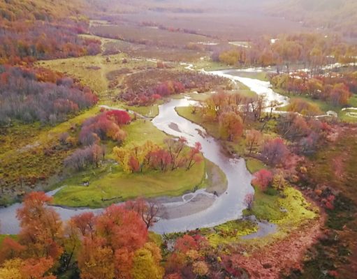 Tierra del Fuego, clave contra la crisis climática