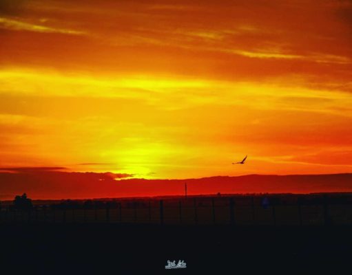 Puerto Pañuelo, Toledo, fotos de nuestros viajeros