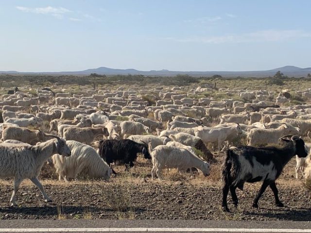 WhatsApp Image 2020-01-12 at 13.38.26 (2)