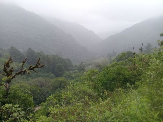 JUJUY CUATRO