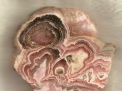 En busca de la bella Rosa del Inca