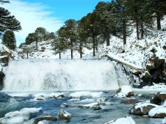 Trivia de invierno: ¿En qué parte de Neuquén estamos?