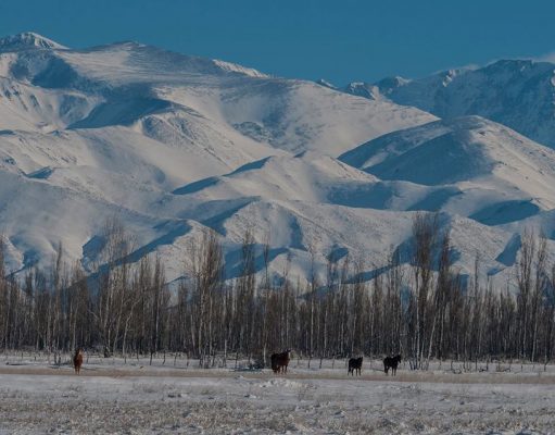 En 2022, las Grandes Capitales del Vino se reunirán acá