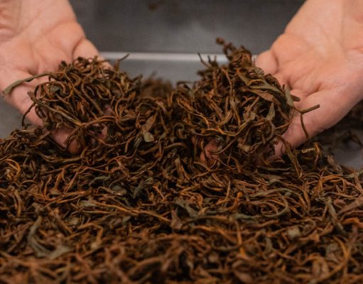 Dicen que el mejor té del mundo está acá…