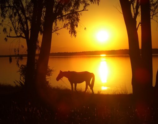 La magia de un atardecer santafesino