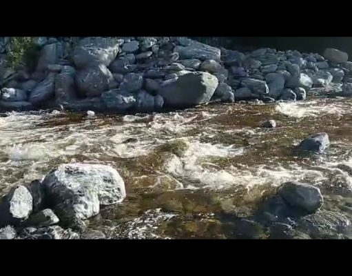 El Talar, un rincón de verde y tranquilidad en San Luis