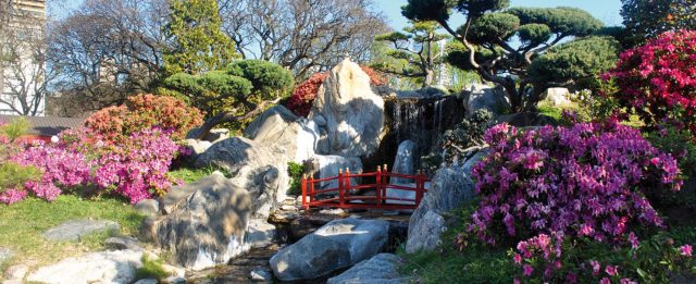 jarin_japones_puente_1200