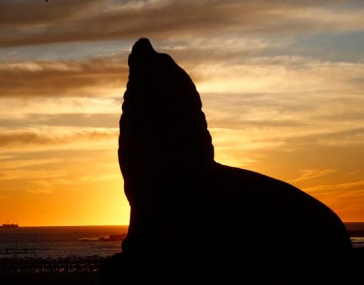 ¡Más tiempo para aprovechar el Previaje!