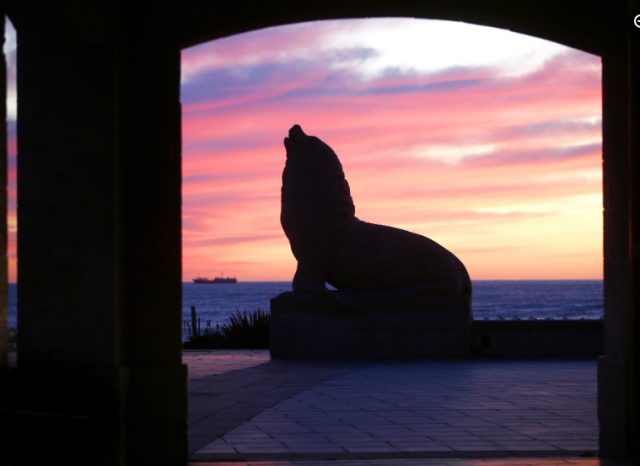 mar del plata 2